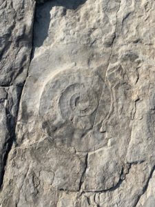 Picture of circular design in rock.